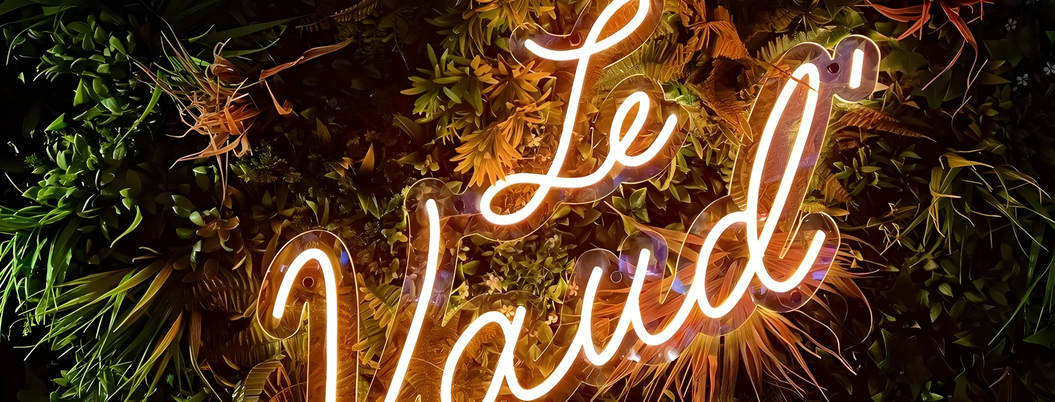 Néon LED flexible tracé sur mesure en vitrine